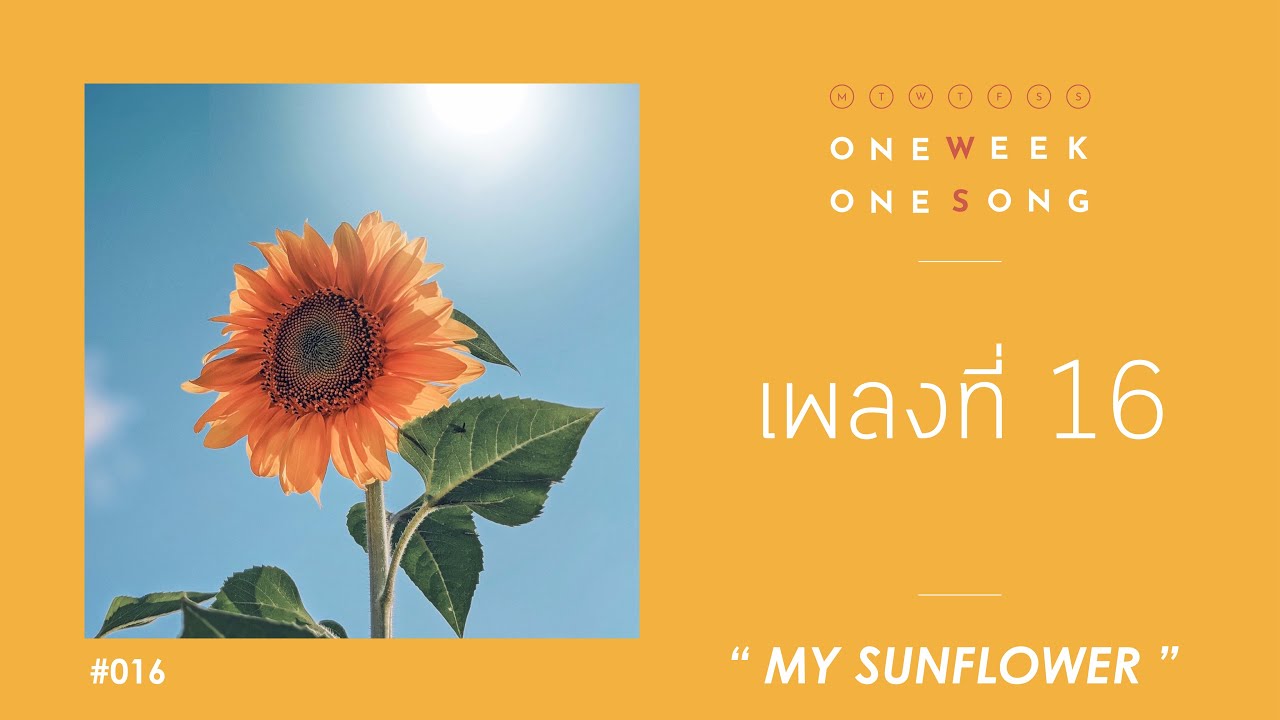 เพลงที่ 16 [ My Sunflower ] - One Week One Song